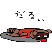 Drunken racoon dog