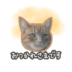 Ayumi_20200618233029