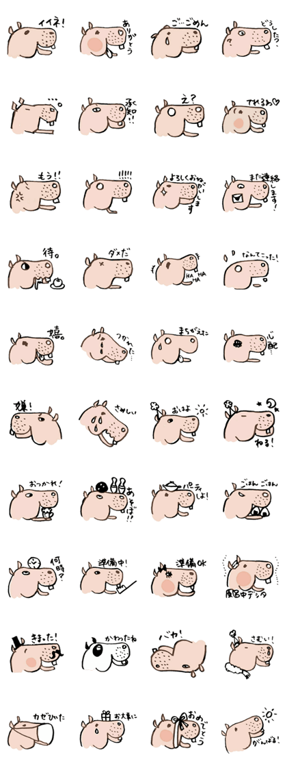 Look at me hippopotamus