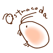 mijinko-ppoi