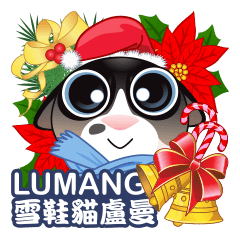 Snowshoe Cat Lumang -Let's Party!!