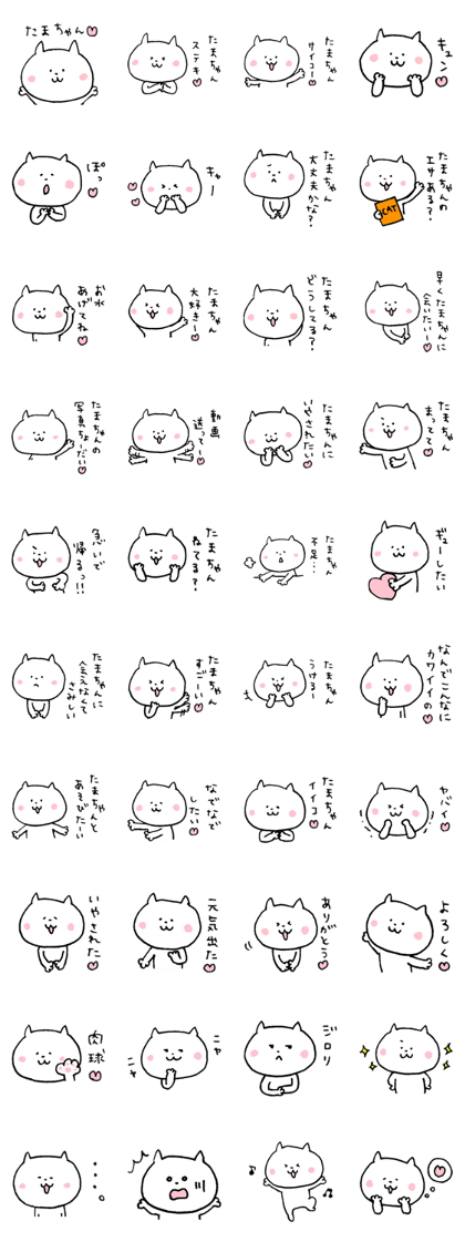 Tama of a cat