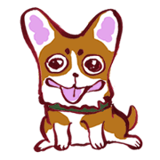 Let's play, Corgi!