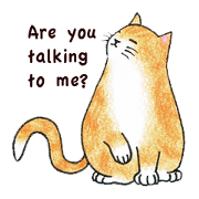 Jaffa Cat