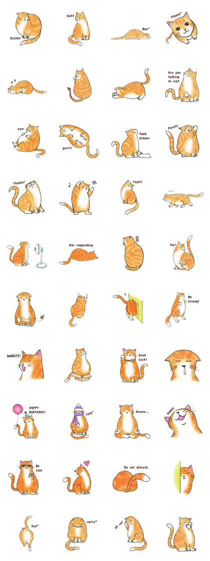 Jaffa Cat