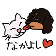 cat&dog,good friends