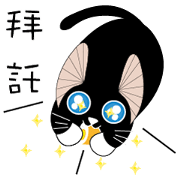 Kite Cat