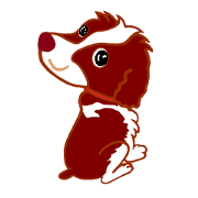 Please enjoy an English Springer Spaniel