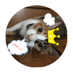hiroki_20200618201004