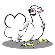 fantail pigeon