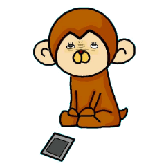 Care monkey