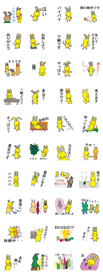 Kitty rabbit