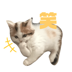 saori_20200618212140