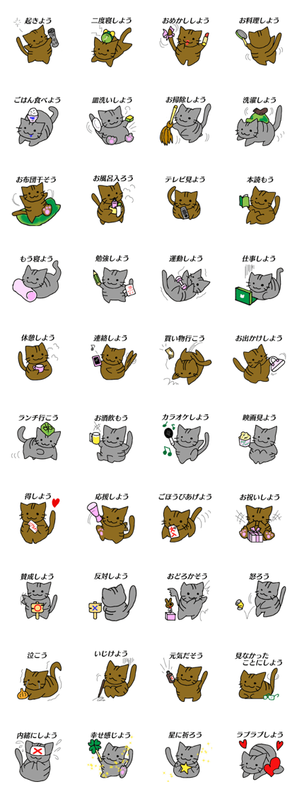Daily life of kitty