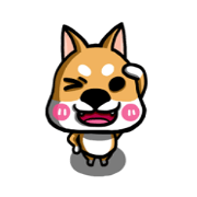 Wish japan Dog