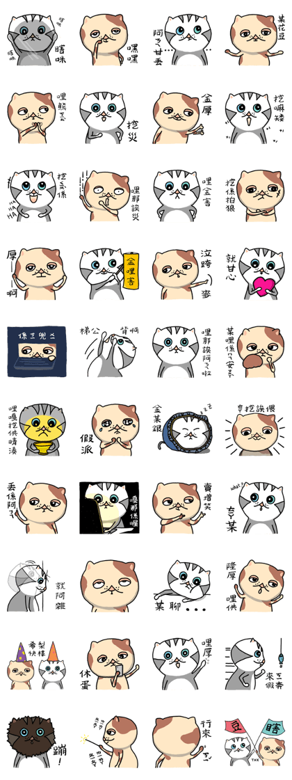 Shiami & Tudo
