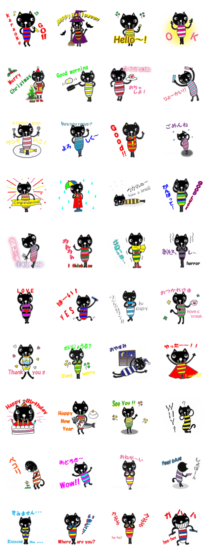 colorful lovely black cat