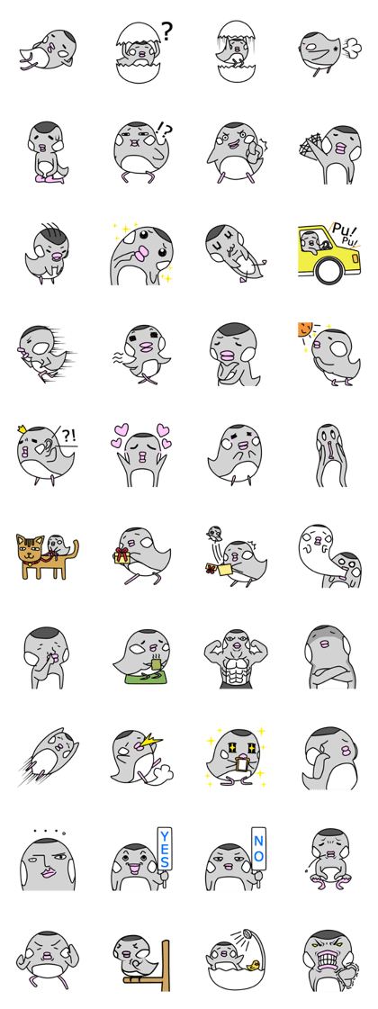 Java sparrow Piyo 's everyday