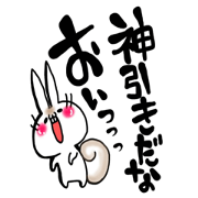 USARIRisu