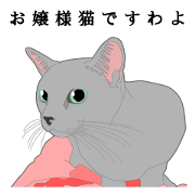 Rial system young lady cat