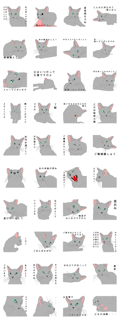 Rial system young lady cat