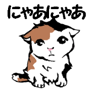 Real cat2