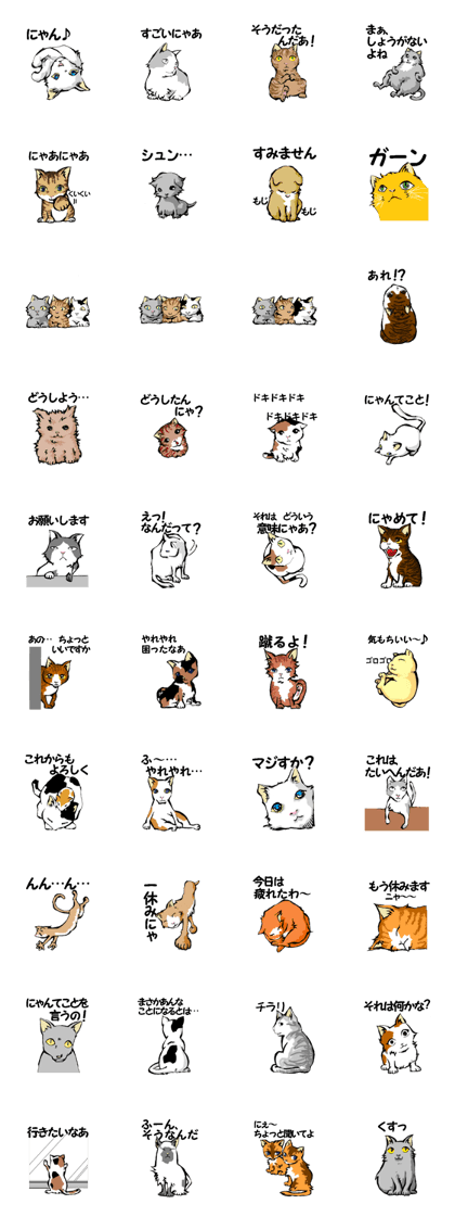 Real cat2