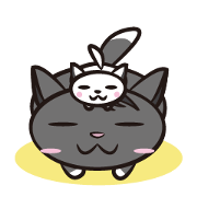 A fat & cute CAT