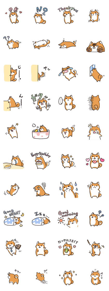 Japanese dog Shiba Inu