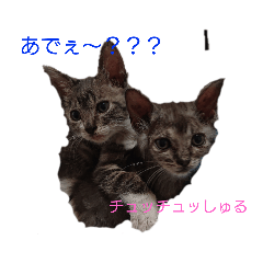 chie_20200619072044