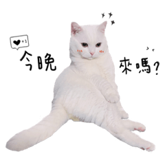 Uki Diary – LINE stickers | LINE STORE