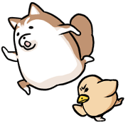 Dogs and birds basic greetings