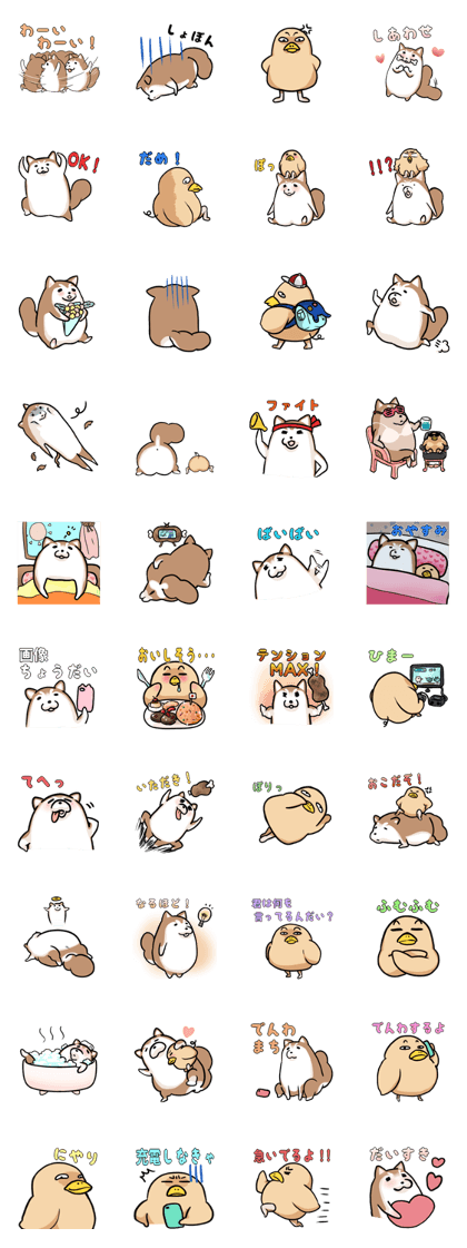 Dogs and birds basic greetings