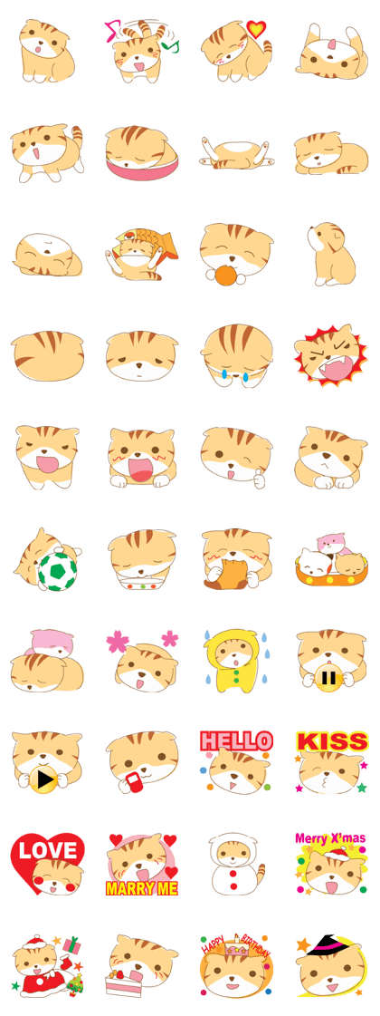 cat fuku01