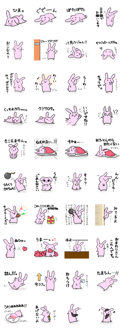 Rabbit of the USAKUMA