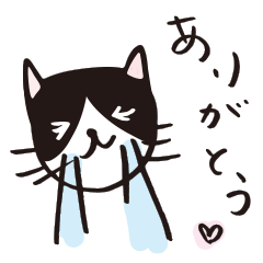 My child cat [Shirokuro]