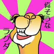 Bossy and cute dromedary Camel new