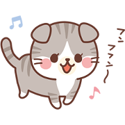 Fluffy Scottish Fold