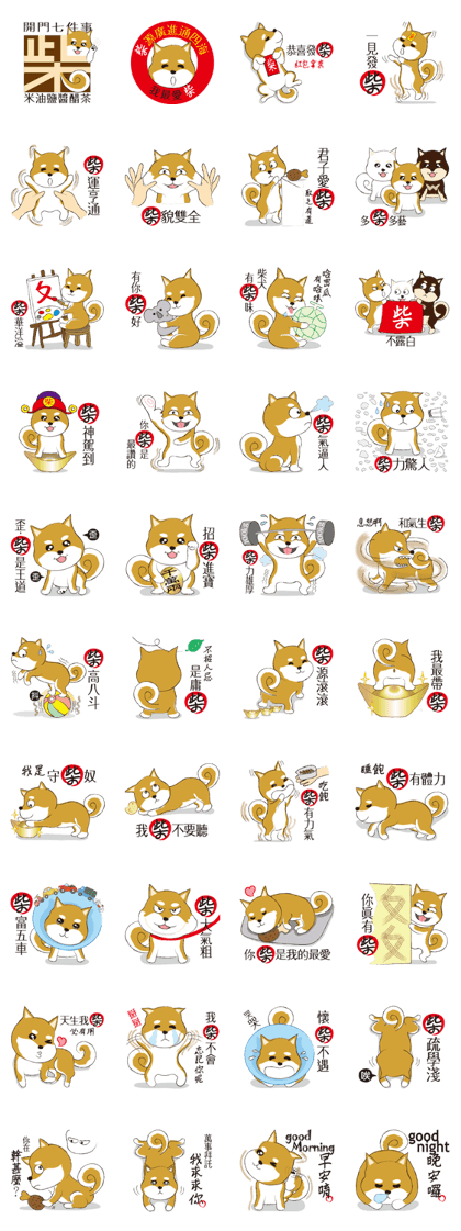 a cute dog