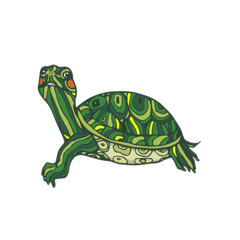 龜龜圖鑑 カメ図鑑  turtles