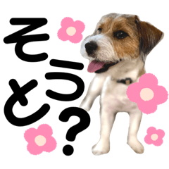 Mizuki_20200619092035