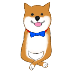 The clever and cute-Shiba KOTARO's Daily
