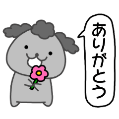 Toy Poodle's Puunosuke/everyday