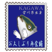Reencounter of the yellowtail