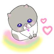 happiness bring cats