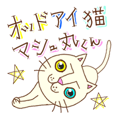 Odd eyed cat  Masyumaru