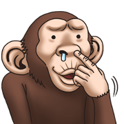 Crazy Funky Monkey
