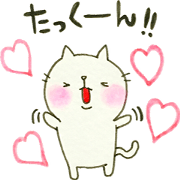 DEAR TAKKUN