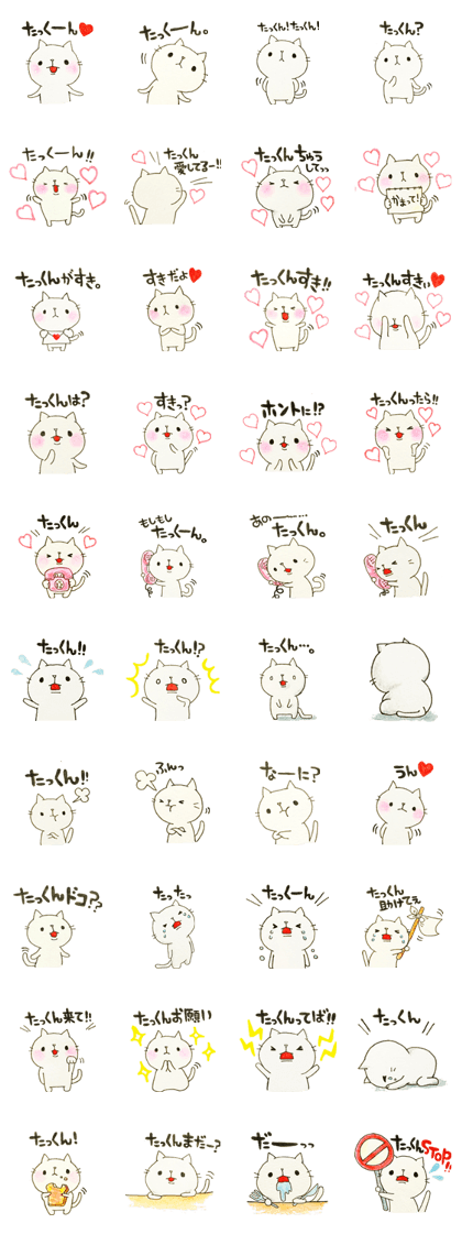 DEAR TAKKUN