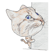 Incredible cats